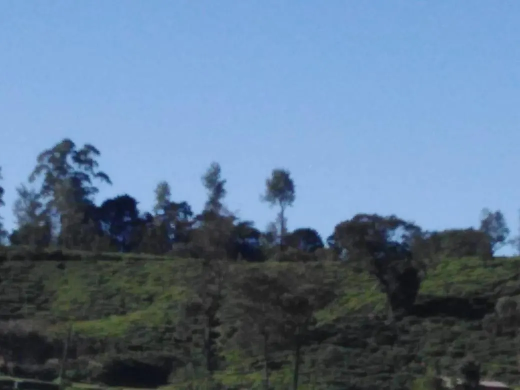 Frosty Heaven Guest House Nuwara Eliya